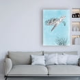 thumbnail image 2 of Trademark Fine Art 'Coastal Sea Life I v2' Canvas Art by Beth Grove, 2 of 3