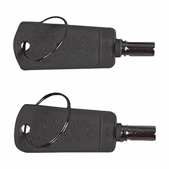 WR01X29793 Key Set fits Freezer