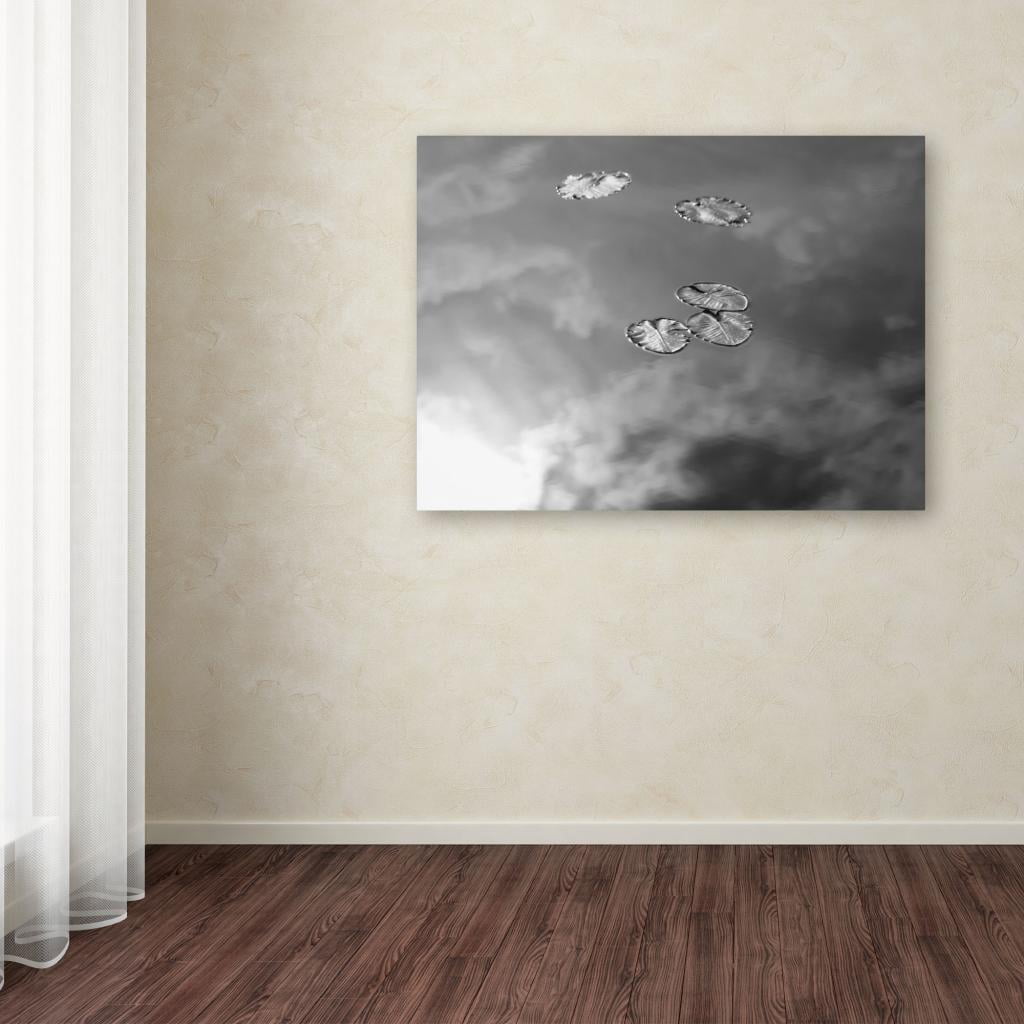 Trademark Fine Art "Lily Pads & Sky" Canvas Wall Art by Patty Tuggle
