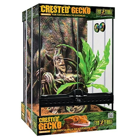 Exo Terra Small 11-Gallon Crested Gecko Habitat Kit