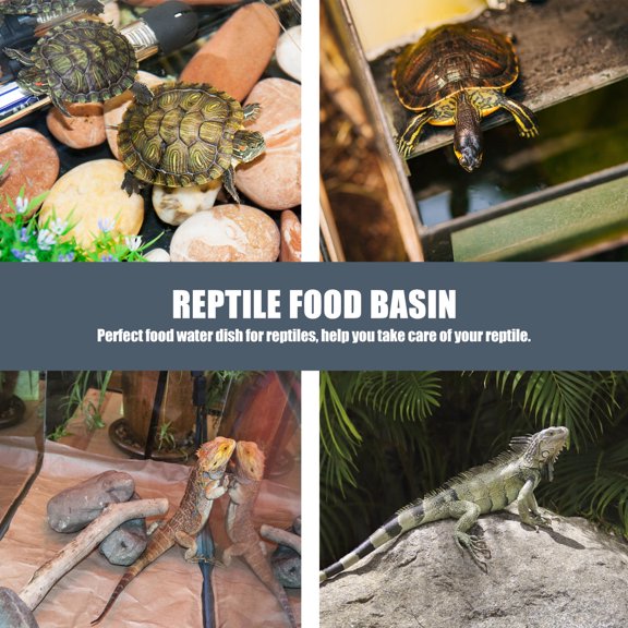 unbranded 2Ud De Comida Y Para Reptiles Con Superficie Y Material