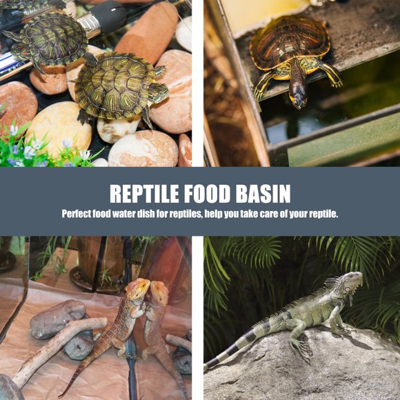 unbranded 2Ud De Comida Y Para Reptiles Con Superficie Y Material