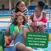GoGo squeeZ Applesauce and Fruit Puree, Apple Apple, Apple Pineapple Passionfruit, and Apple Mango Guava Snack Pouches Variety Pack, 3.2 oz, 20 Pack