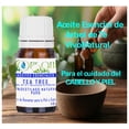 thumbnail image 2 of Aceite Esencial Árbol de Té VIVONATURAL 10 ml Cuidado de la Piel, del Cabello y Repelente de Insectos, 2 of 5