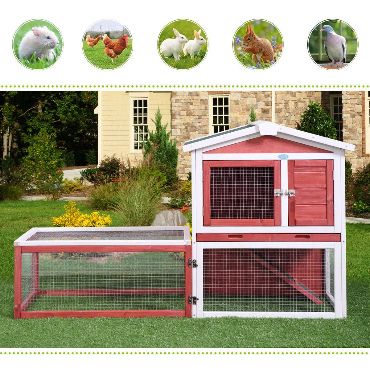 jaxpety rabbit hutch