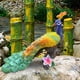 thumbnail image 4 of Estatua de pavo real Escultura de pavo real Estatua de animal de jardín divertida Figura de pavo real para Multicolor, 4 of 6