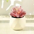 thumbnail image 6 of Mini Fake White Ceramic Potted Succulents Artificial Plants - Faux Succulents Plants for Home , Office Shelf Decorations Artificial Multilayer Succulent Plant Bonsai for Home, 6 of 8