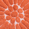 thumbnail image 6 of Chesapeake Bursting Flower 2pc White & Coral Round Bath Rug Set (24" & 30"), 6 of 7