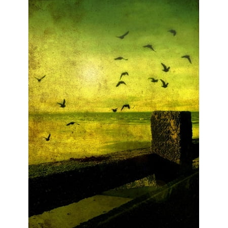 A Flock of Birds Flying over a Beach Scene with Breakers Print Wall Art By Cristina Carra