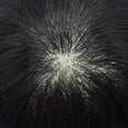 thumbnail image 5 of LYRICAL HAIR Toupee for Men Fine Mono Center Mens Hair System Indian Human Hair Replacement Systems French Lace Front Hairpiece for Man Wig Black Brown Blonde Gray Hair Units, 5 of 7