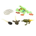 thumbnail image 3 of Figuras de Figuras de rana arbórea de Figuras de Biología Ciencia Figuras de animales Juguetes ños Decoración Rana de árbol de Salvador Juego de crecimiento, 3 of 10