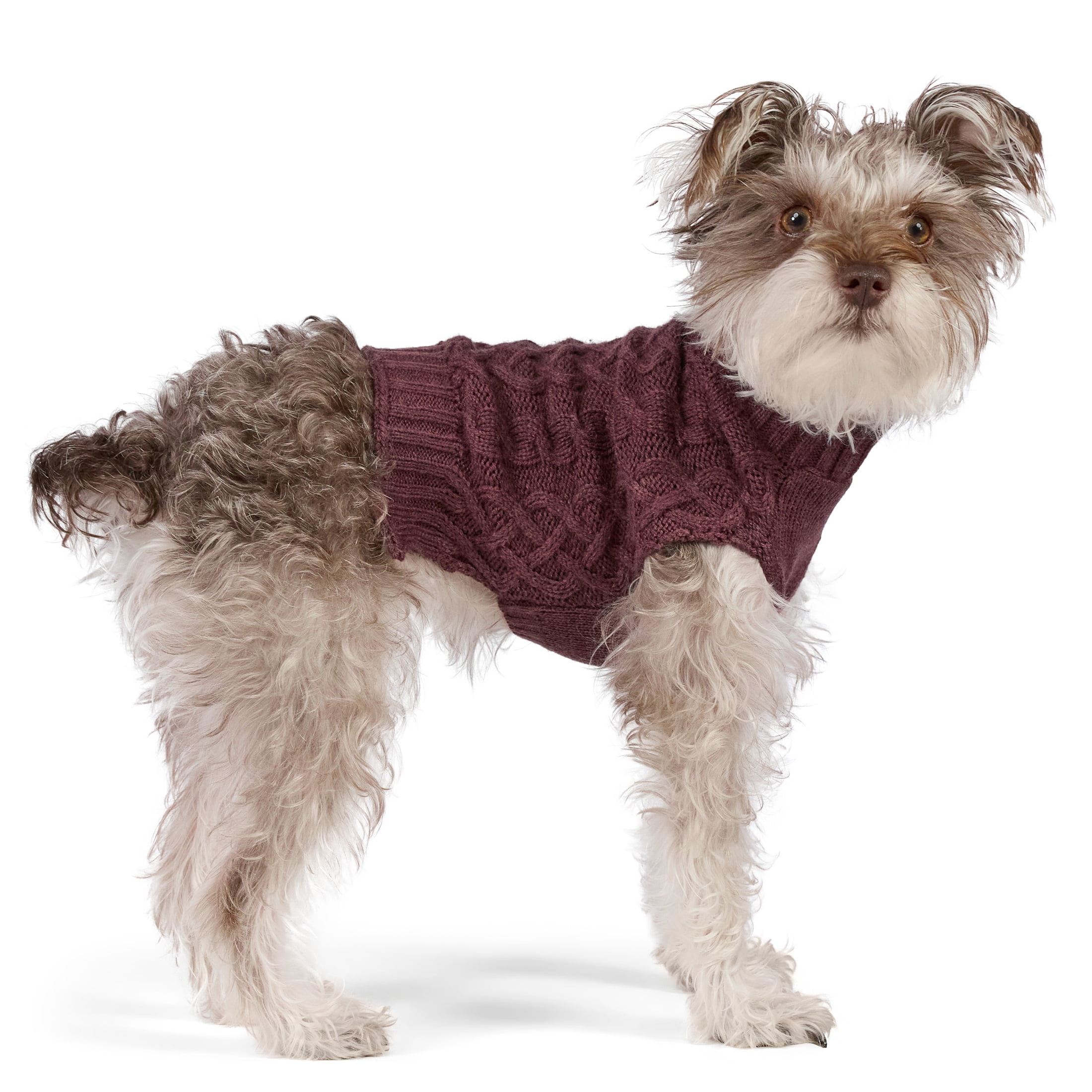 Vibrant Life Cable Knit Sweater for Dogs and Cats, Plum, XS