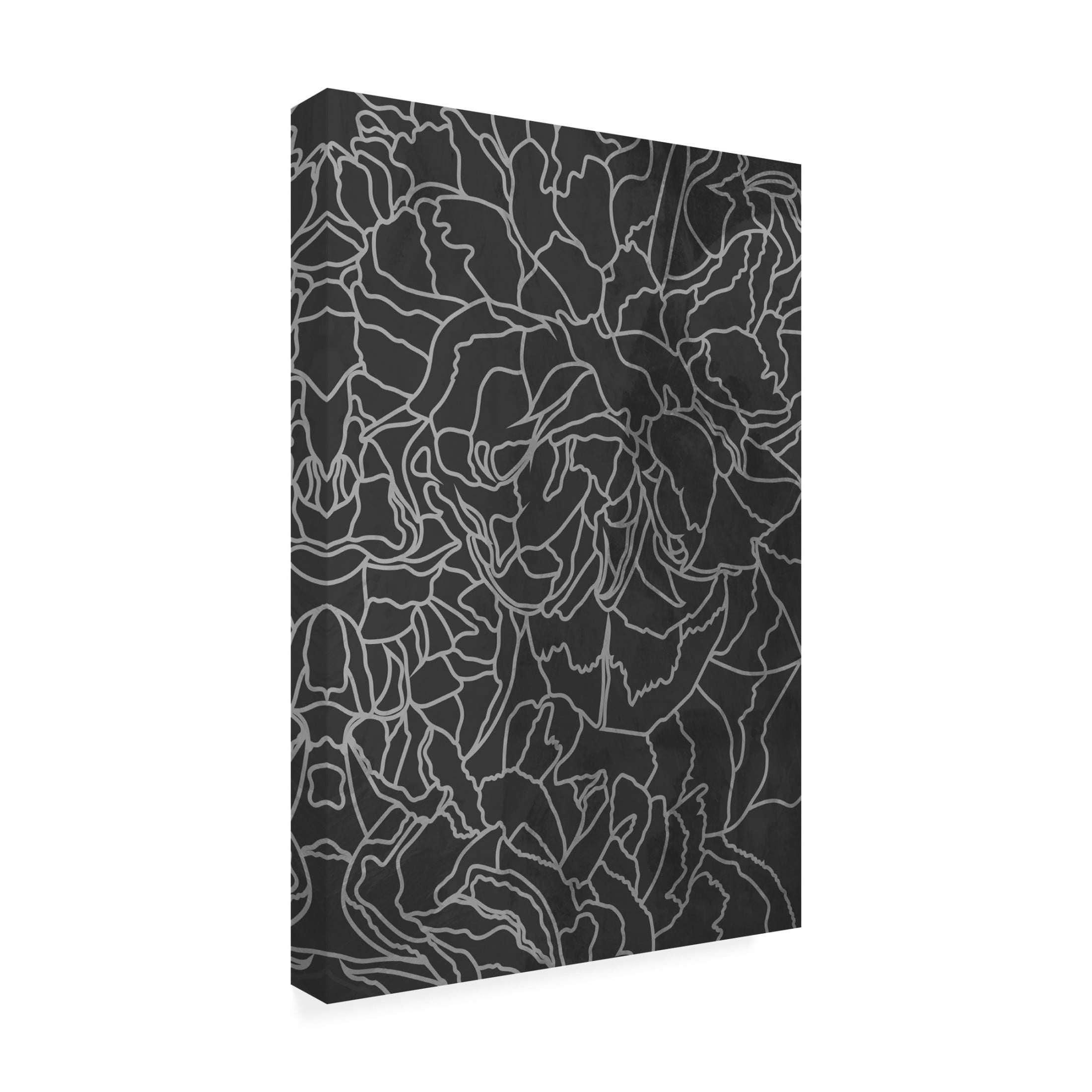 Trademark Fine Art Sarah Manovski  Abstract black white peony line art Canvas Wall Art