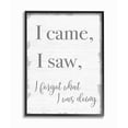 thumbnail image 2 of Stupell Industries I Came, I Saw, I Forgot Quote with Distressed Charm Designed by Daphne Polselli, 2 of 5