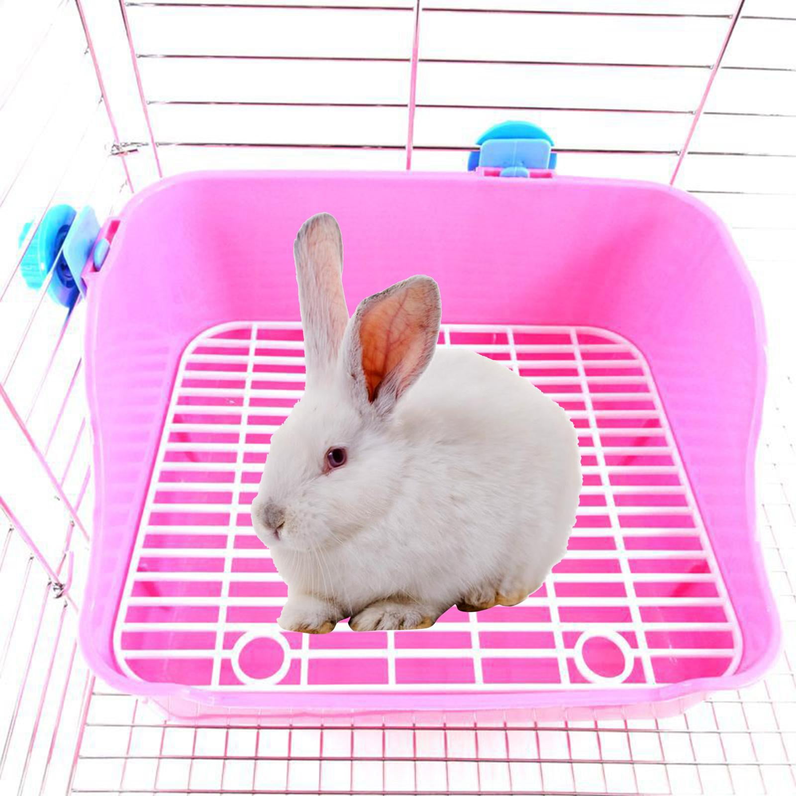 Rabbit bed box hotsell