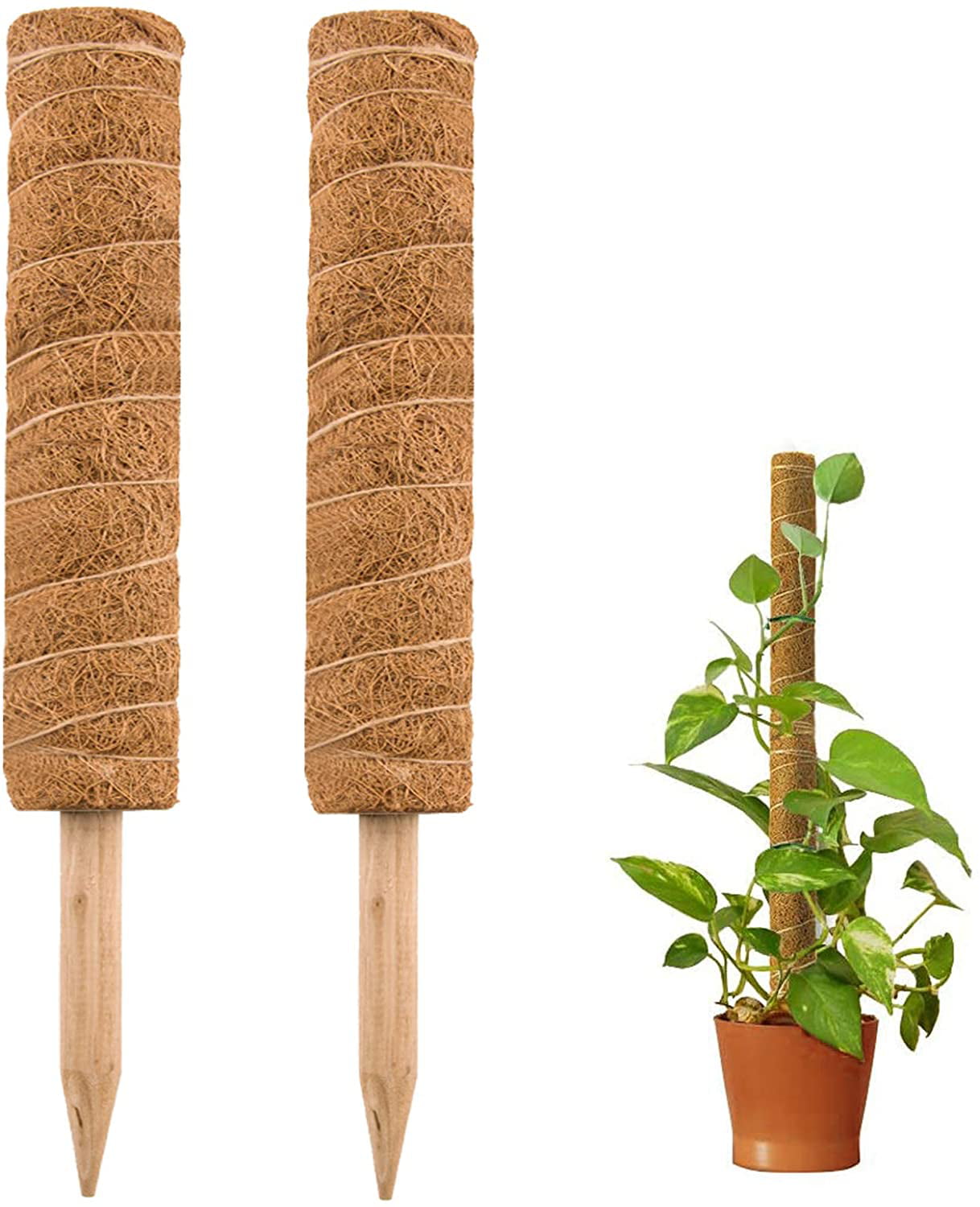 2 Blulu Coir Totem Pole 12 Inches Coir Moss Stick Coir Moss Totem Pole for Creepers Plant Support Extension Climbing Indoor Plants 