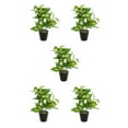 thumbnail image 1 of Plantas Artificiales Realistas Injueey en Maceta Tortuga JH5473, 1 of 6