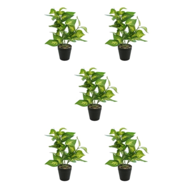 Plantas Artificiales Realistas Injueey en Maceta Tortuga JH5473