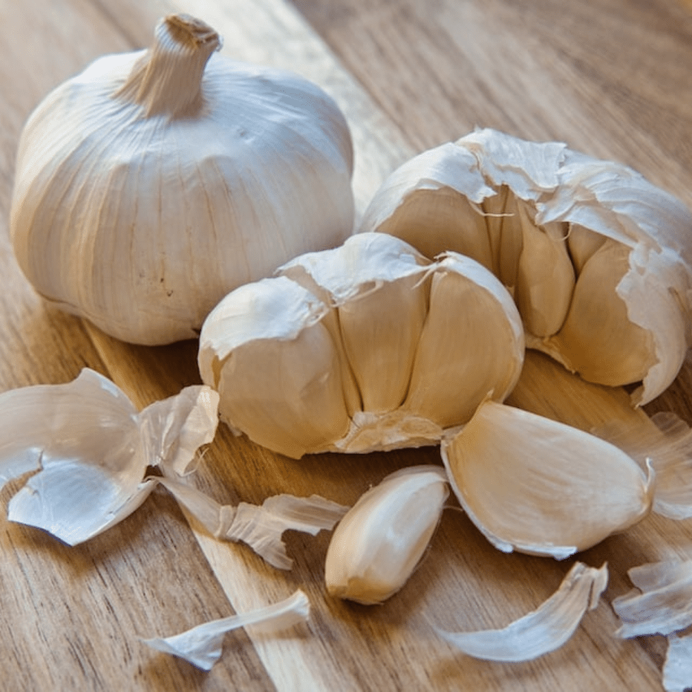 Pack 4 White Softneck Garlic Bulbs, Garlic Bulbs for Fall Planting in Garden or Container
