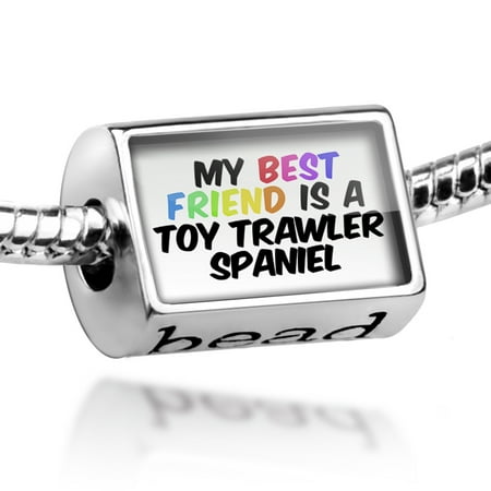 Bead My best Friend a Toy Trawler Spaniel Dog from United Kingdom Charm Fits All European