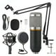 thumbnail image 1 of Kit de micrófono de condensador con brazo de tijera ajustable, soporte amortiguador y adaptador de audio para grabación profesional en estudio, grabación en casa y podcasting, color negro., 1 of 8