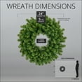thumbnail image 6 of 24" Red Sleigh Sequoia Fir Commercial-Grade Artificial Unlit Christmas Wreath, 6 of 7