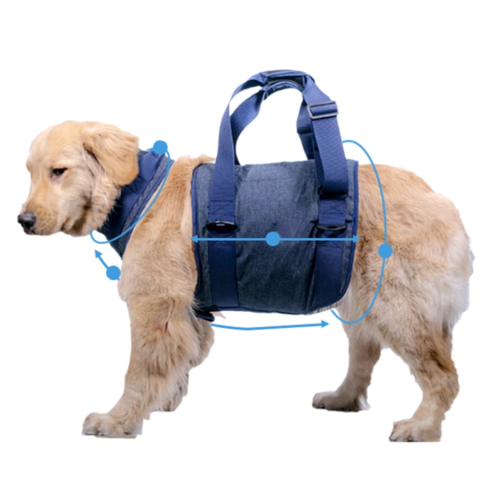 Lifting Dog Harness for Small Medium Large Dogs No Pull Assist Harness Adjustable Assist Training Supplies