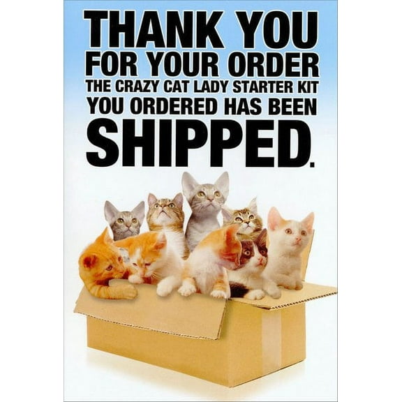 Nobleworks Crazy Cat Lady Starter Kit Funny / Humorous Birthday Card