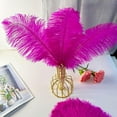 thumbnail image 6 of 20 pcs Fuchsia Ostrich Feather 12-14 inch(30-35 cm) Bulk for Wedding Party Centerpieces and DIY Clothes Decoration, Gatsby Decorations, 6 of 6