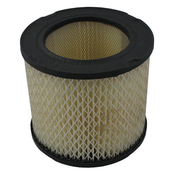 Pentius PAB3924 Pentius Filter Fits select: 1978 CHEVROLET C10, 1995-1996 OLDSMOBILE CIERA