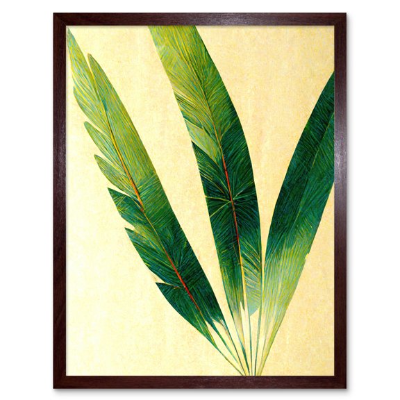 Modern Fan Palm Tree Leaf Detail Study Illustration Art Print Framed Poster Wall Decor 12x16 inch