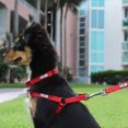 thumbnail image 2 of Chaleco Pawtitas Solid Step, ajustable y sin tirones para perros, 2 of 8