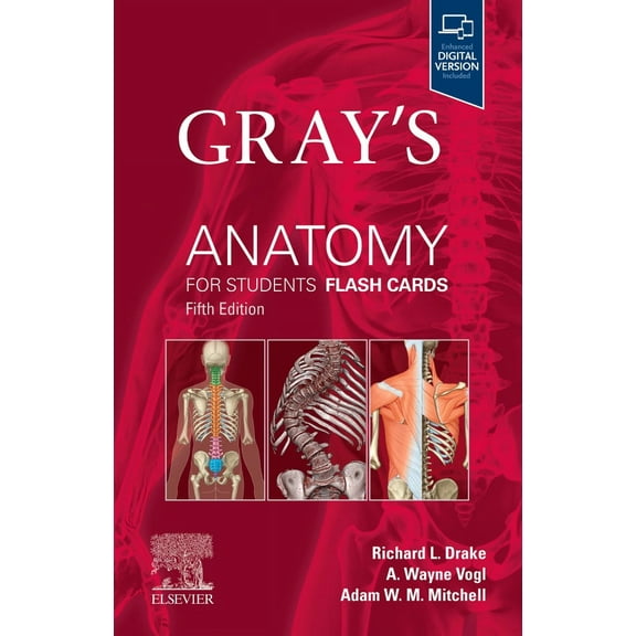 Gray's Anatomy for Students Flash Cards