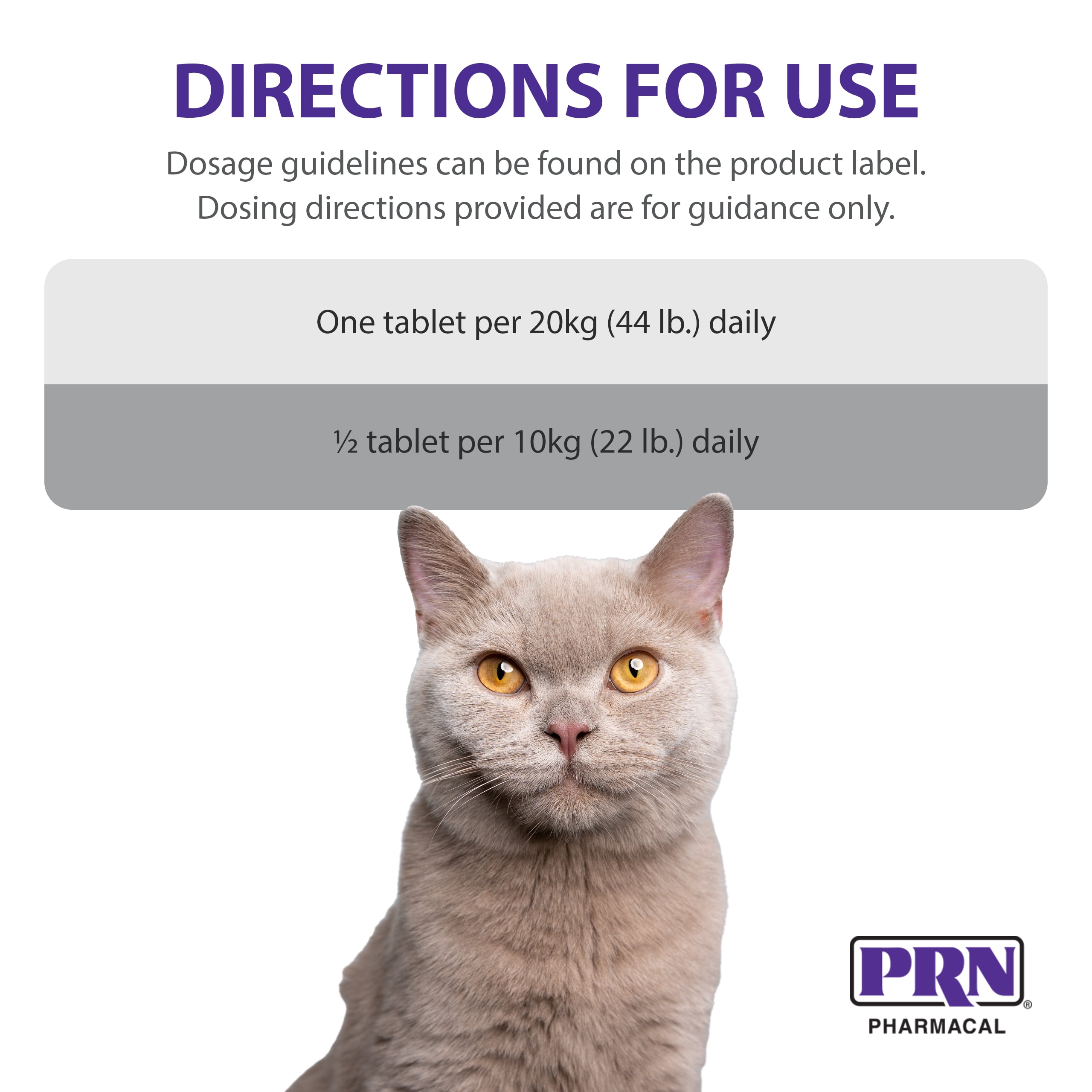 Buy PRN Pharmacal CranMate Cranberry Supplement Chewable Cranberry