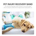thumbnail image 4 of Pet Injury Recovery Band Dog Hip Support Sling Portable Dog Sling Pet Injury Sling, 4 of 8