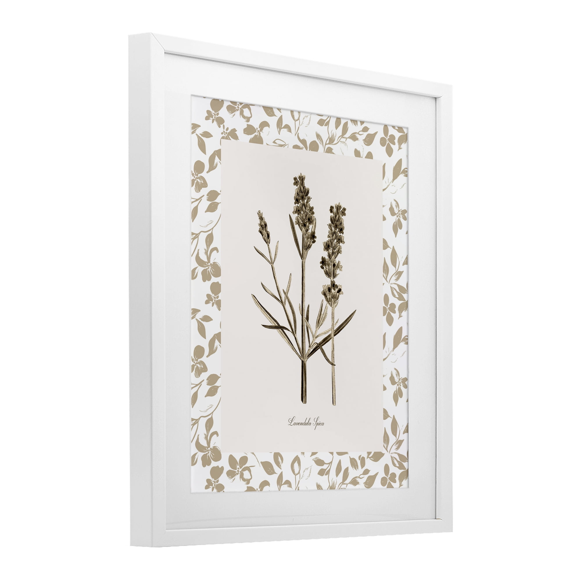 Stupell Industries Neutral Imperial Herb Study White Framed Print Under Glass, design by Kelly Donovan