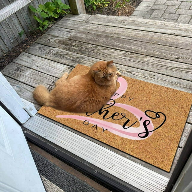 Warm Welcome Door Mat for Home Decoration Floor Rug Non- Washable Easy Clean Seasonal Festive Cozy Multipurpose Entrance Indoor Outdoor Kitchen Bathroom Carpet