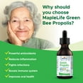 thumbnail image 3 of MapleLife Nutrition Brazil Green Bee Propolis 30 ML, 3 of 7