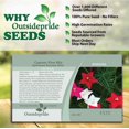 thumbnail image 5 of Outsidepride Cypress Vine Seed Mix - 200 Seeds, 5 of 7