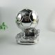 thumbnail image 1 of Trofeo Balón de Oro Copa del Mundo Suministros para fanáticos Regalo de cumpleaños grabado Suvenir para construir grupos, 1 of 5