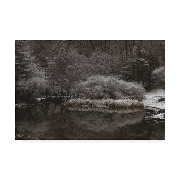 Trademark Fine Art 'Serene Winter Scene' Canvas Art by Kurt Shaffer Photographs