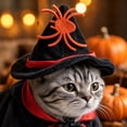 thumbnail image 5 of Cat Halloween Costumes, Kitten Halloween, Pet Witch, Cat Cloak, Pet Festive Apparel, Black and Gold Star Moon Printed Set, Includes Matching Star Witch Hat, Lightweight Satin, 5 of 7
