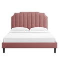 thumbnail image 5 of Modway Colette King Performance Velvet Platform Bed in Dusty Rose, 5 of 10