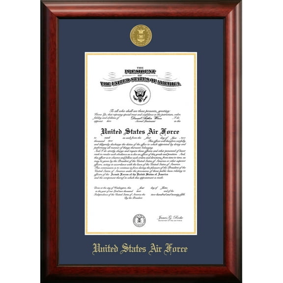 Patriot Frame's Air Force 9x14 Certificate Frame Gold Medallion