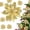 Gold, variant on 10 Pcs Glitter Poinsettia 5.5" Artificial Flowers Christmas with Clips Stems Xmas Tree Ornaments for Wedding Party Wreath Decoration