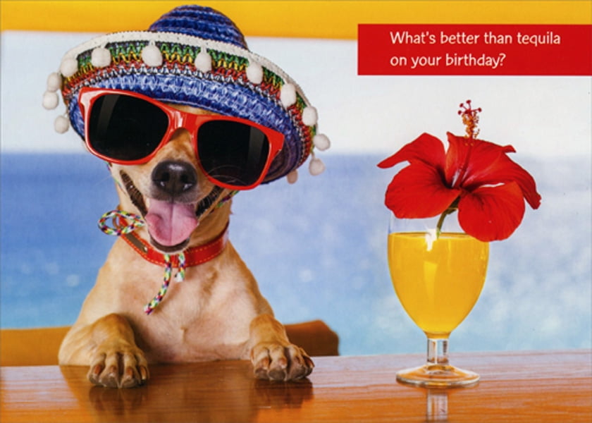 Humorous Birthday Card Tequila and Karaoke  What a Great Idea Funny 