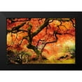 thumbnail image 2 of Delimont, Danita 18x13 Black Modern Framed Museum Art Print Titled - Autumn Symphony, 2 of 5