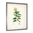 thumbnail image 2 of Designart 'Ancient Botanicals XVII' Farmhouse Framed Art Print, 2 of 4
