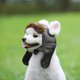 thumbnail image 3 of Gorro de aviador para perros - Talla M (marrón) - Gorro cortavientos para disfraz navideño de mascota, 3 of 5