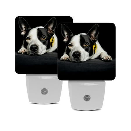 

LED Night Lights Plug into Wall 2-Pack 0.5W Plug in Night Light Dusk to Dawn White Bright Nightlight for Bedroom Bathroom Hallway Kitchen Pug Dog